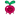 Beetster