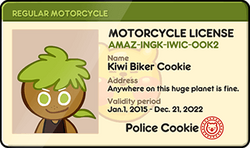 Kiwi Biker Driver's License