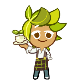 Herb Tea Barista