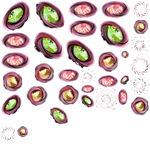 Skill Effect Sprite Sheet