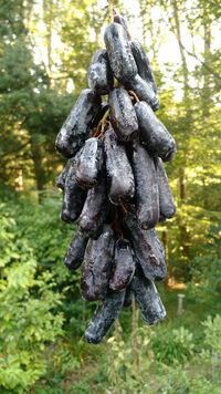Sweet sapphire grapes