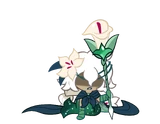 White lily exhausted