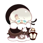 Cotton old 1
