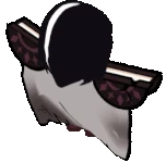 Cookie0103s01-sit back.gif (1.86 MB)