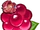 Ruby Raspberry