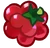 Jellyberry