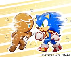 Sonic Cookie's Gallery, Cookie Run: Kingdom Wiki