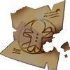 White Lily Cookie's Anatomy Study