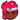 Head Icon