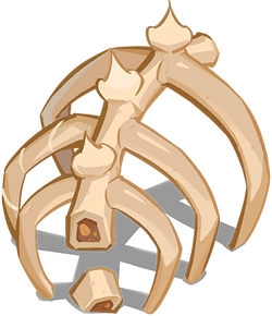 Upper Dragon Rib Bone