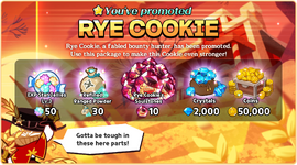 You've Promoted Rye Cookie Package