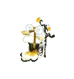 Cookie0530s02-skill2 back.gif (3.95 MB)