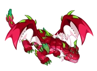 Pitaya Dragon