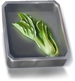 Bok Choy