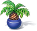 Palm