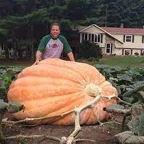 Giant Pumpkin