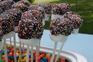 Marshmallow Chocolate Sticks