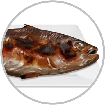 Yakizakana - Official Cook, Serve, Delicious Wiki