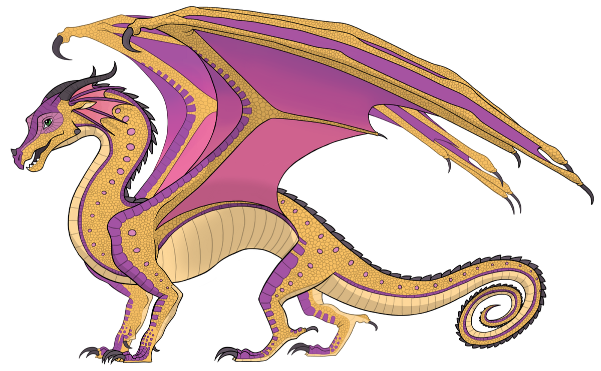 Kinkajou LGBTQIA Wings of Fire Wiki Fandom