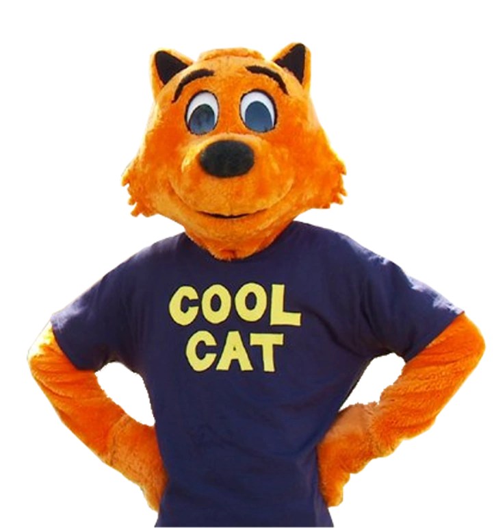 I am a coolcoolcat😠#cat