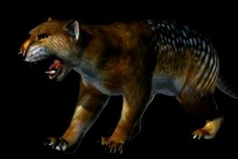 Thylacoleo1