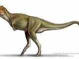 Xenotarsosaurus