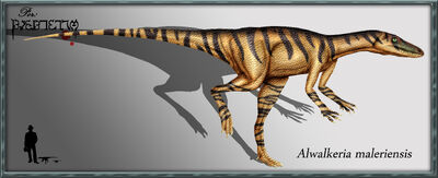 Alwalkeria maleriensis.jpg
