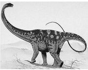 Euhelopus.jpg