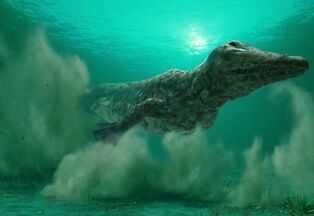 Ambulocetus.jpg