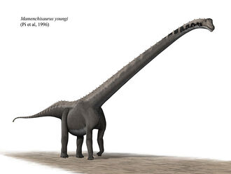 800px-Mamenchisaurus youngi steveoc 86