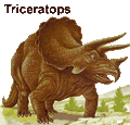 Triceratops