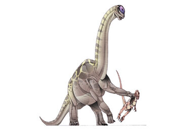 Bothriospondylus.jpg