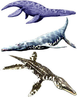 Pliosaurs