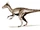 Ornitholestes