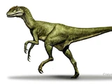 Zupaysaurus