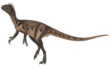 611px-Guaibasaurus.jpg