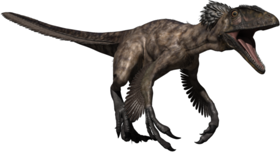 Deinonychus - Simple English Wikipedia, the free encyclopedia