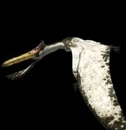 Quetzalcoatlus p1.jpg