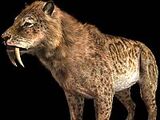 Smilodon