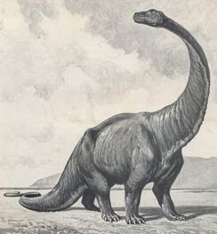 500 gigantosaurus dwdu1912cropped.jpg