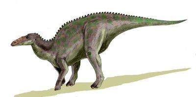 Anatotitan BW.jpg