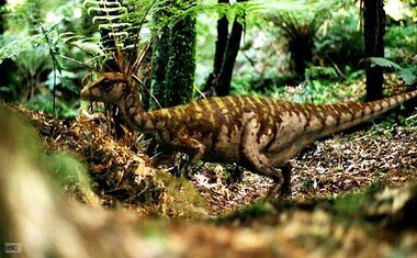 Leaellynasaura 1.jpg