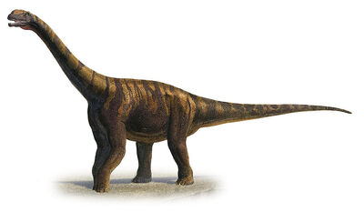 Abrosaurus-dongpoi-a-prehistoric-era-sergey-krasovskiy