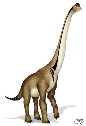 Ultrasaurus LeCire
