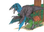 A Sinornithosaurus by Hellraptor