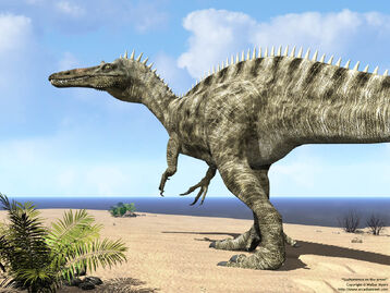 Suchomimus on beach 1280