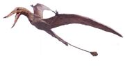Rhamphorhynchus.jpg