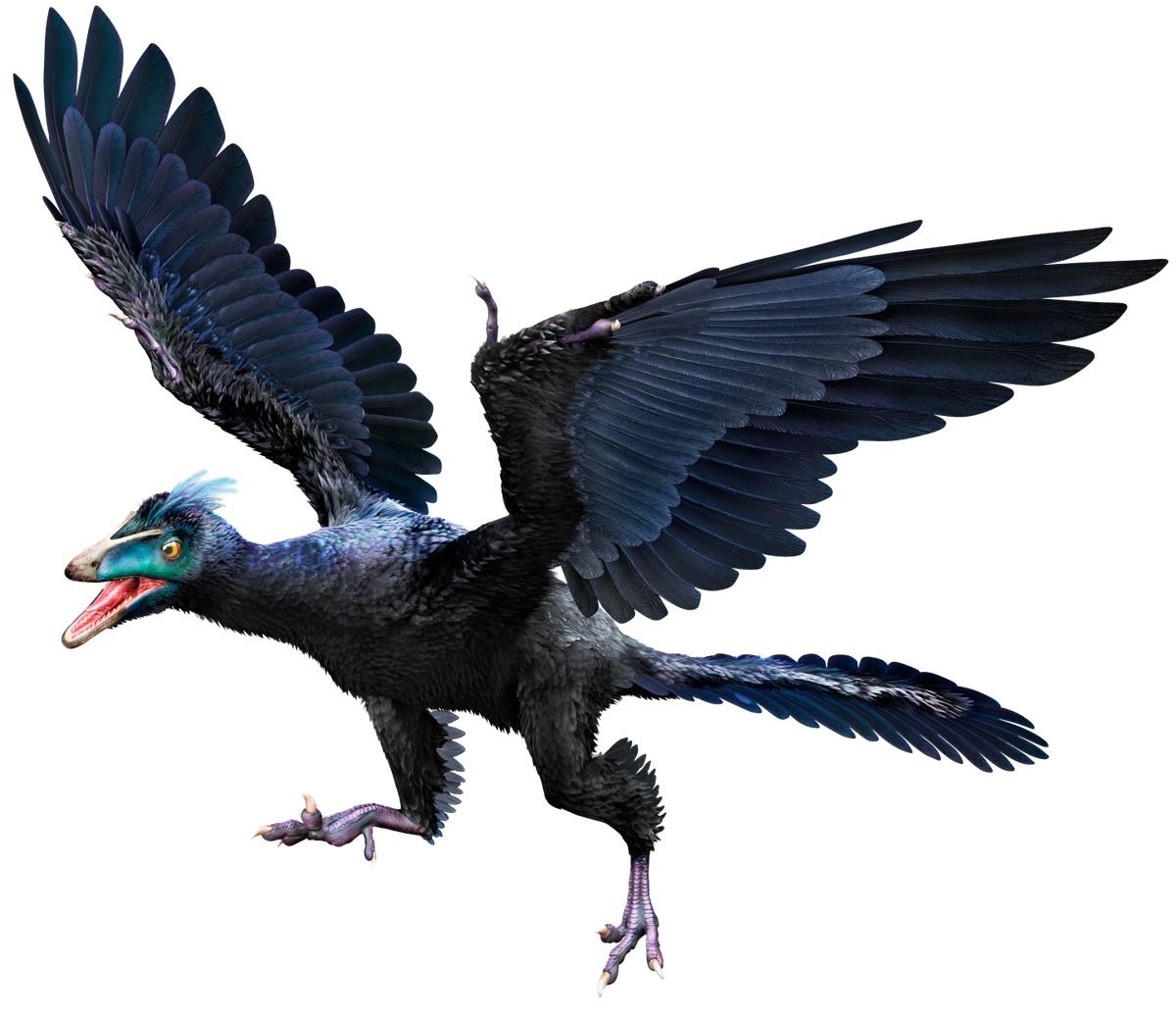 Amazon.com: Papo The Dinosaur Figure, Archaeopteryx : Toys