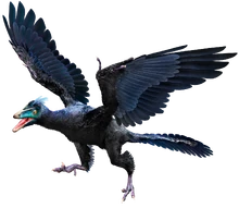 Archaeopteryx | Cool Dino Facts Wiki | Fandom