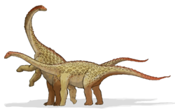 250px-Saltasaurus dinosaur.png